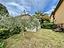 Immagine 29