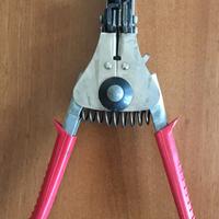 Pinza spelafili