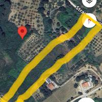 Terreno a Calatafimi Segesta