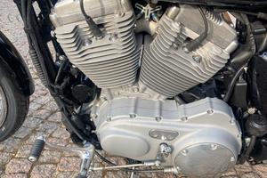 Sportster 883 custom