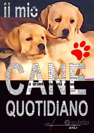 Il Mio Cane Quotidiano
