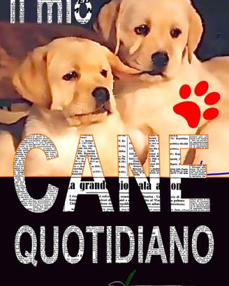 Il Mio Cane Quotidiano