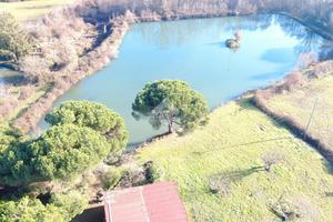 COMPLESSO A SALUSSOLA