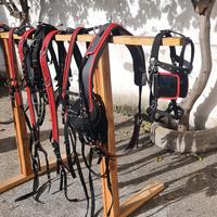 FINIMENTO COMPLETO SINGOLO PARIGLIA 300 EURO