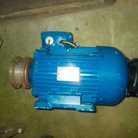 Motore nuovo trifase 3 KW