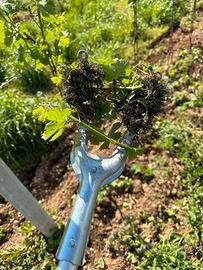 Ragazzo / a per lavori in campagna