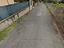 Immagine 7