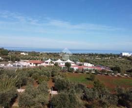 VILLA SINGOLA A POLIGNANO A MARE