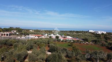 VILLA SINGOLA A POLIGNANO A MARE