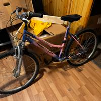 Bicicletta donna/bambina