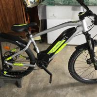 Bicicletta  mtb Rokrider elettrica