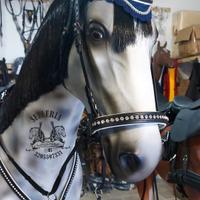 SET COMPLETO CON SWAROVSKI BIANCHI E ITALIA