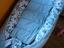 Immagine 4