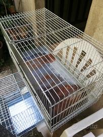 Gabbia allevamento da 60 cm 