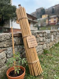 Canne di Bambù per Fai-da-te e Arredamento - 1€/mt
