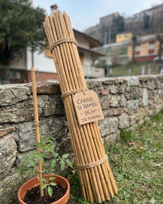 Canne di Bambù per Fai-da-te e Arredamento - 1€/mt