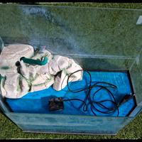 vasca per tartarughe 