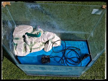 vasca per tartarughe 