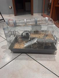 Criceto più gabbia grande