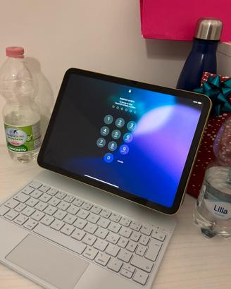 Apple Ipad 10 generazione 256gb + accessori