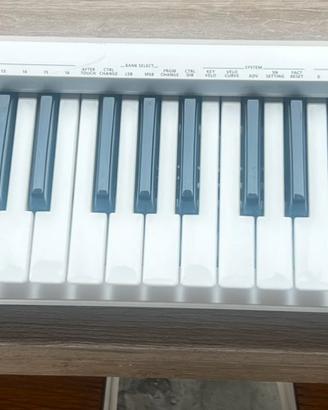 Roland A-49 WH Bianca