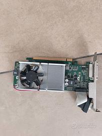 AMD Radeon R7 240. 2 giga ddr3