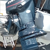 Motore Evinrude etec inezion