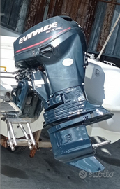 Motore Evinrude etec inezion