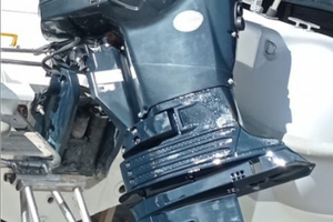 Motore Evinrude etec inezion