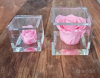Rose stabilizzate 