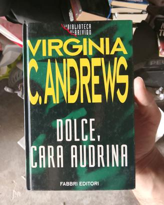 Virginia Andrews - Dolce, cara Audrina