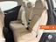 Immagine 19