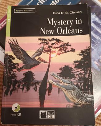 Mystery in New Orleans Black Cat