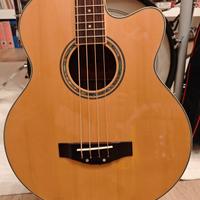Basso acustico elettrificato Richwood