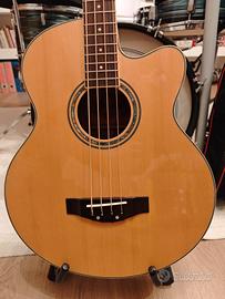 Basso acustico elettrificato Richwood