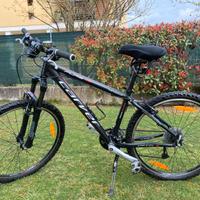 Bicicletta Mountain bike