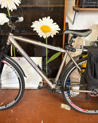 Bici da uomo