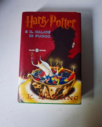 Harry Potter e il calice di fuoco
