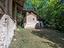 Immagine 7