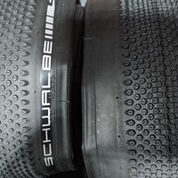 Coppia pneumatici Schwalbe per gravel