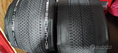 Coppia pneumatici Schwalbe per gravel