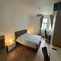 Spaziosa stanza singola primo ingresso