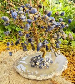 Alberello Fortuna Sodalite Base Agata