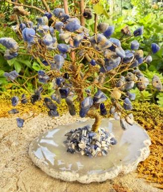 Alberello Fortuna Sodalite Base Agata