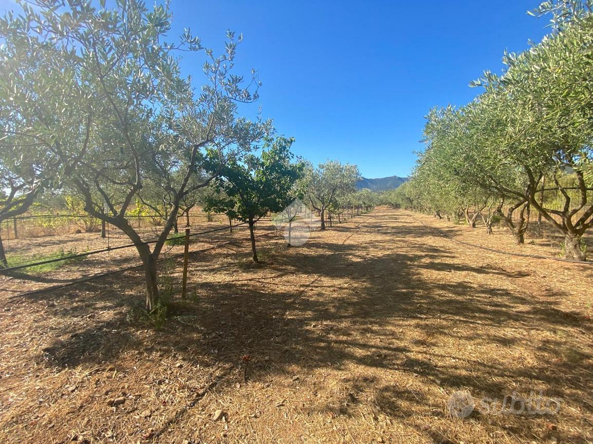 TER. AGRICOLO A CAPOTERRA - Vista 3