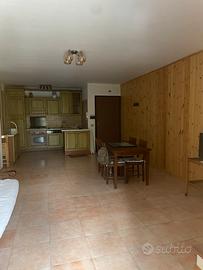 Vendita appartamento ristrutturato in sila