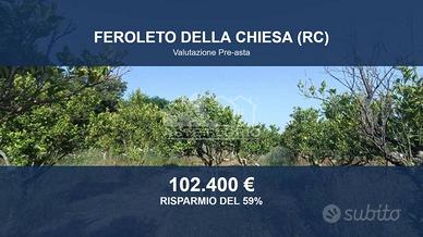 Immobile in asta di 4805 m² a Feroleto della Chies