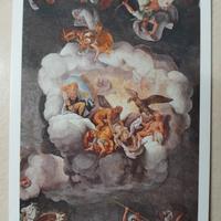 cartolina Mantova 