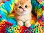 Immagine 5