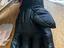Immagine 6